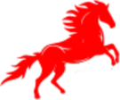 Calgary Pro Movers logo