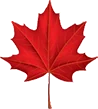 Vasy Movers logo