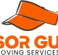 Visor Guys logo